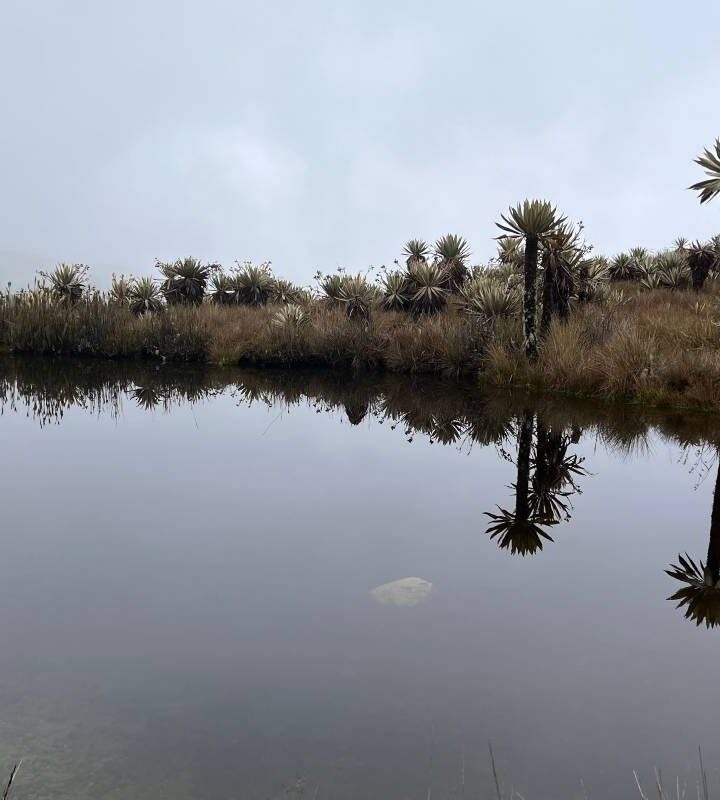 Reservas_La_Laja – Maza_Fonté_Territorio_del_Oso
