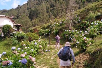 caminata ecologica entre bosques