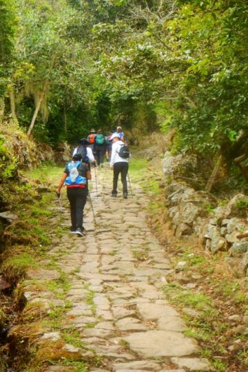 Caminata_Ecológica Manta Machetá