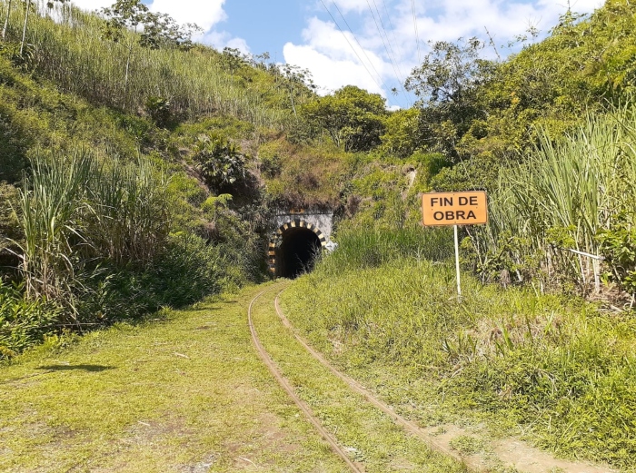 Túnel, Rieles y Locomotora 45