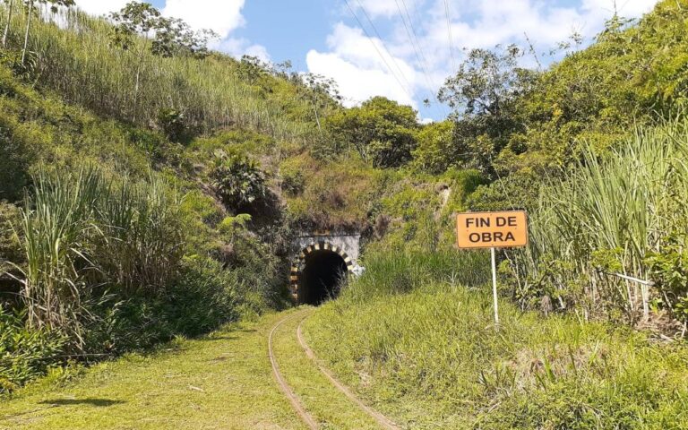 Caminata Ecológica-Túnel Rieles y Panela