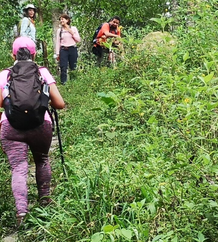 Caminata_Ecológica_Boquerón_Portachuelo_Icononzo