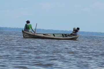 Amazonas Reserva Natural Heliconia