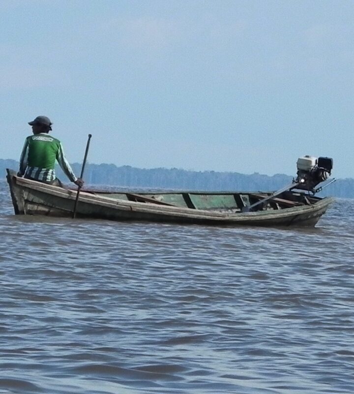 Amazonas Reserva Natural Heliconia