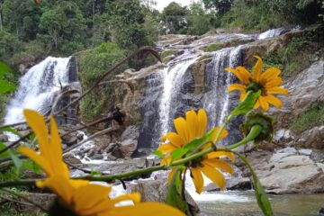 Caminata_Ecológica Cascada_Matazano Alto_Popalito