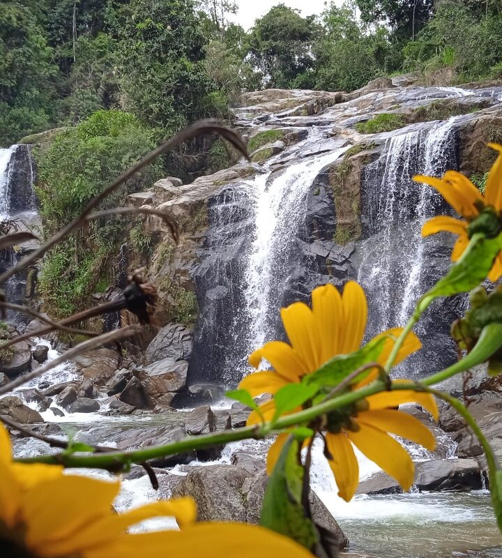 Caminata_Ecológica Cascada_Matazano Alto_Popalito