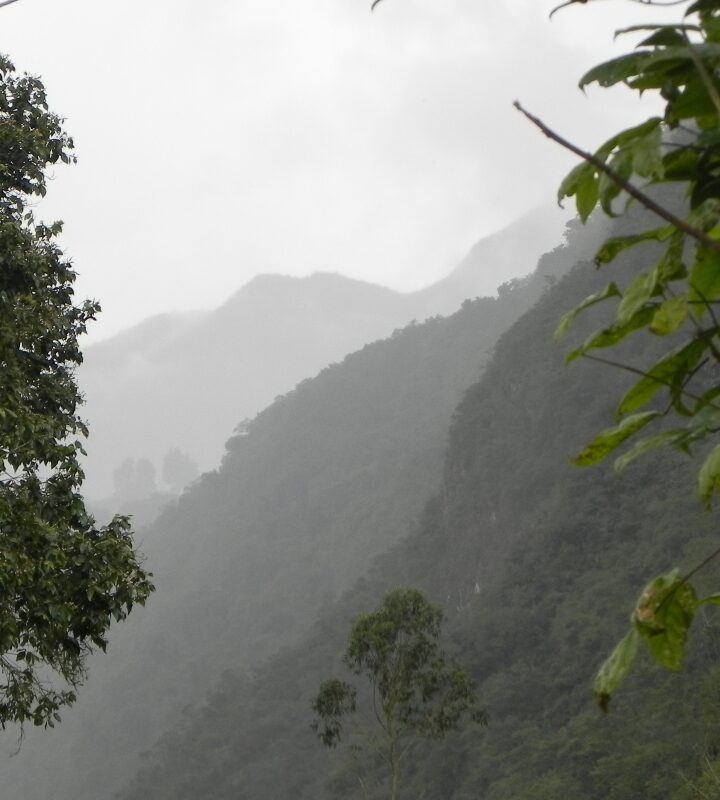 Caminata_Ecológica Abasticos_Une Cundinamarca
