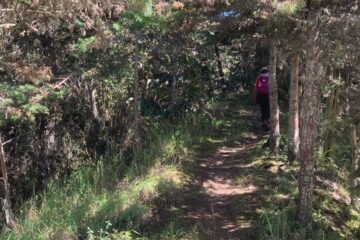 Caminata_Ecológica El_Camino de_los_Cipreses