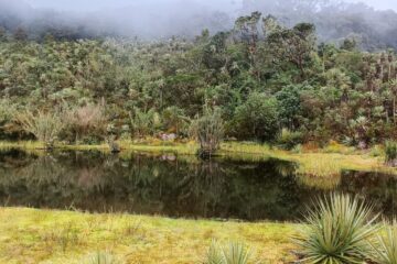 Caminata_Ecológica Reserva Maza_Fonté
