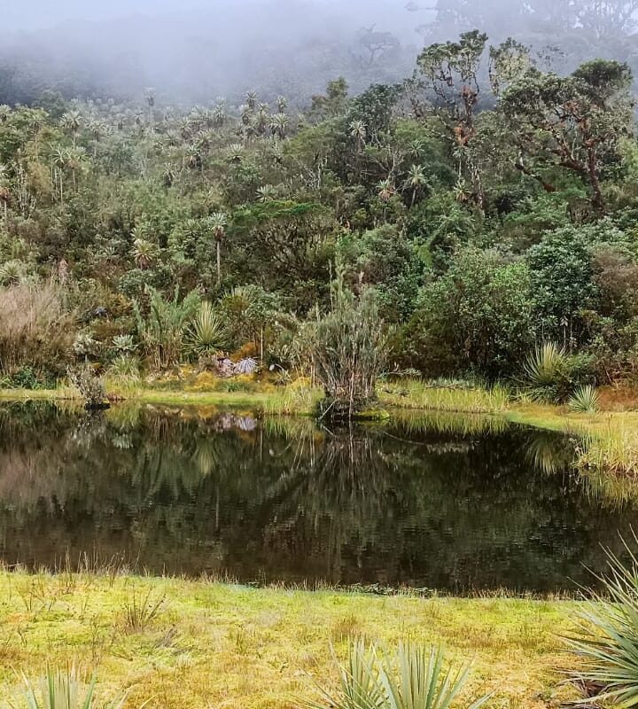 Caminata_Ecológica Reserva Maza_Fonté