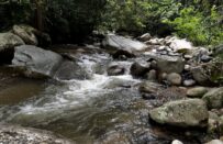 Caminata_Ecológica Vereda_La_Palma_Llanos _de_San_Juan Quebrada_La_Muñoz