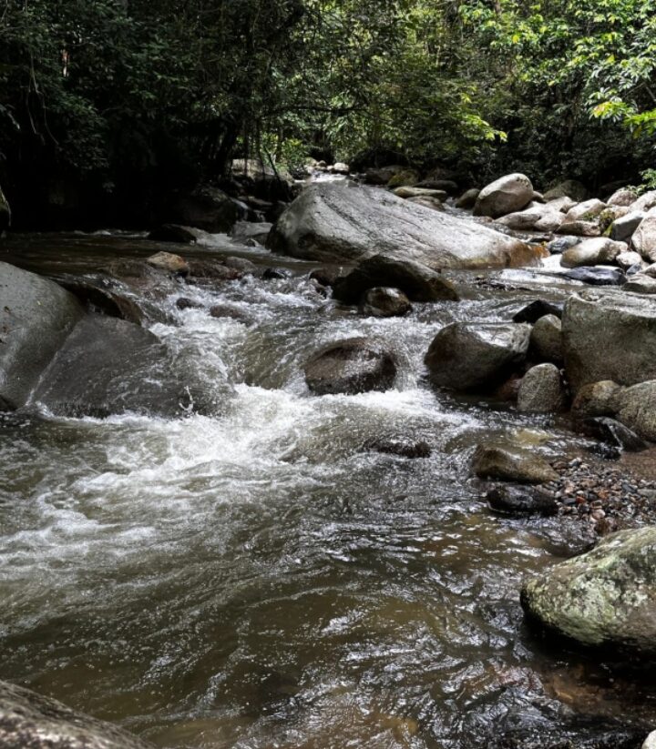 Caminata Ecológica Llanos de San Juan - Quebrada La Muñoz - San Jerónimo