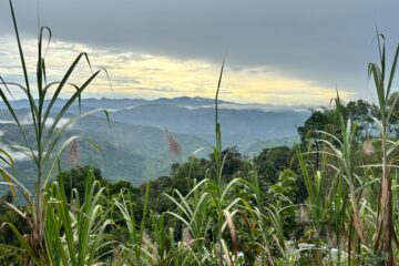 Caminata_Ecológica El_Camino_de_los Adoquines_de_Piedra