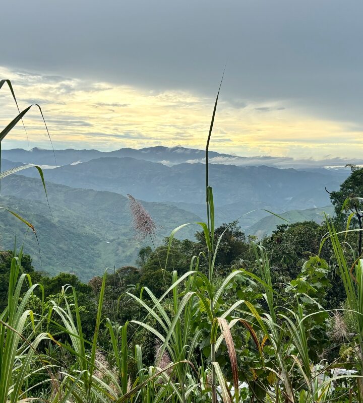Caminata_Ecológica El_Camino_de_los Adoquines_de_Piedra