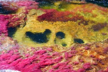 Caño Cristales portada