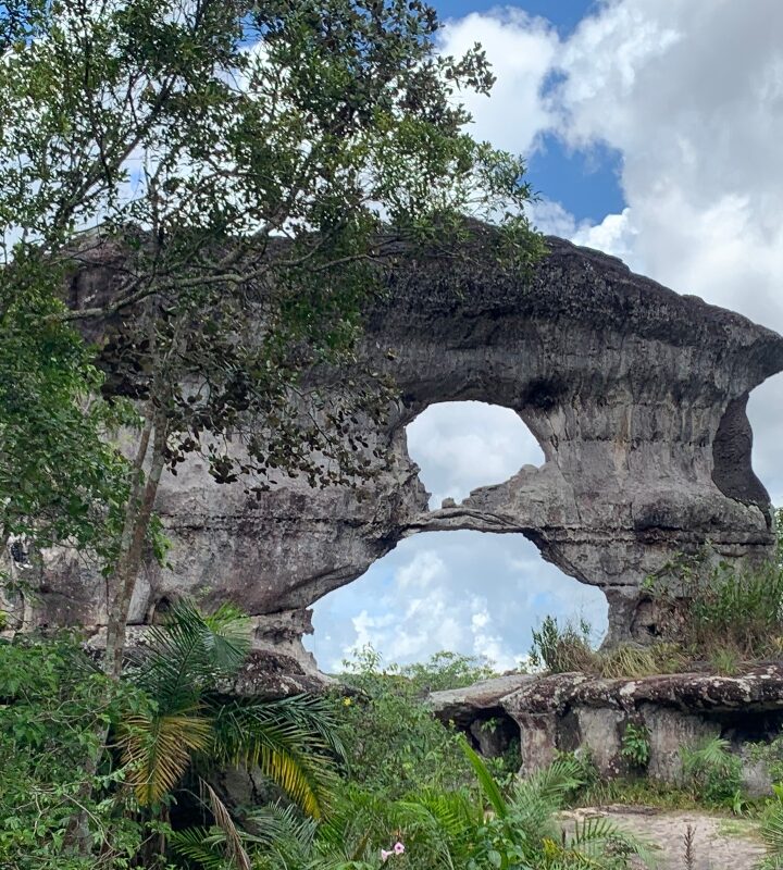 Serranía_de_la_Lindosa San_José_del_Guaviare_2_días