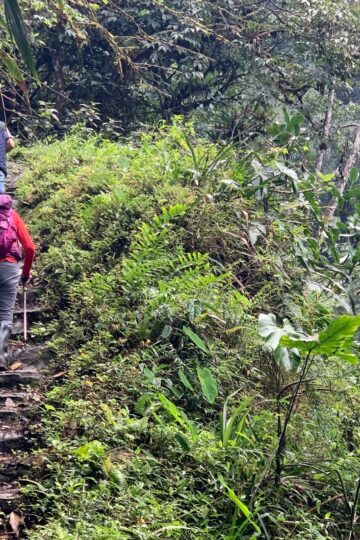Expedición_San_Juanito Cañón_del_Guatiquía_Villavicencio Laguna_de_Chingaza