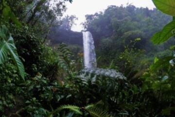 Putumayo Tour Agua y_Selva