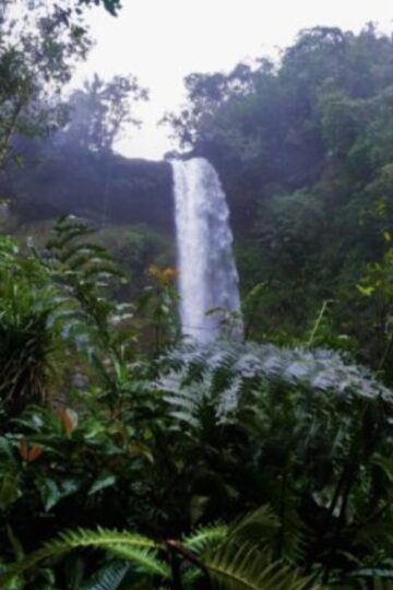 Putumayo Tour Agua y_Selva