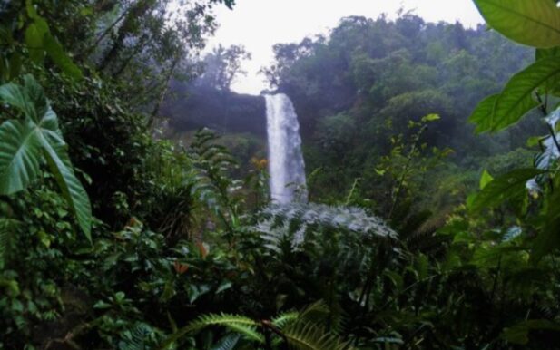 Putumayo Tour Agua y_Selva