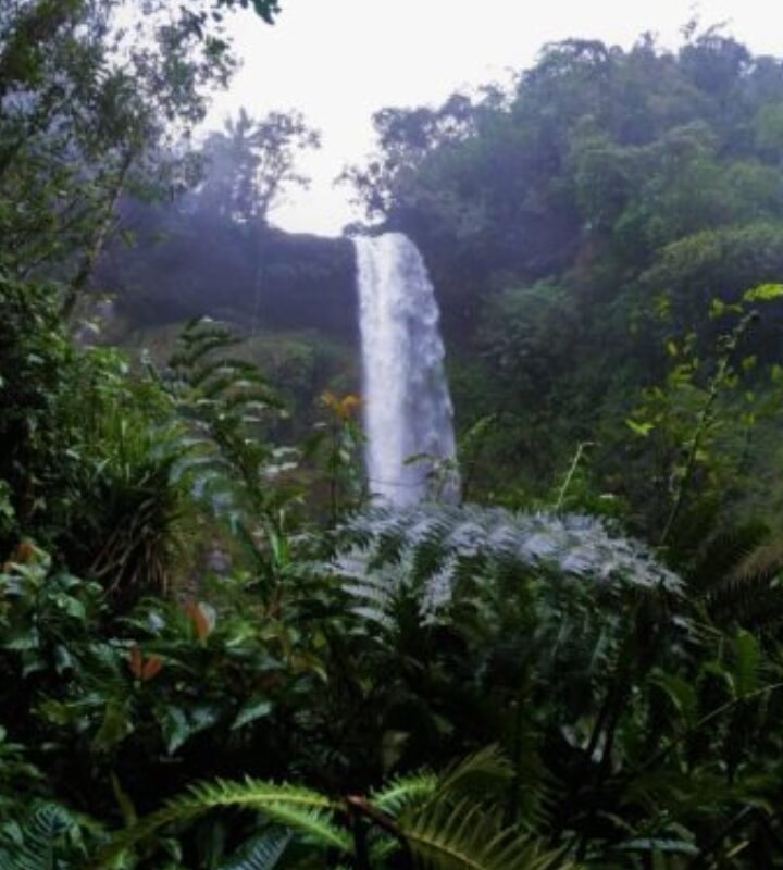 Putumayo Tour Agua y_Selva