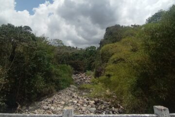 Caminata Ecológica Arbeláez SantaBárbara