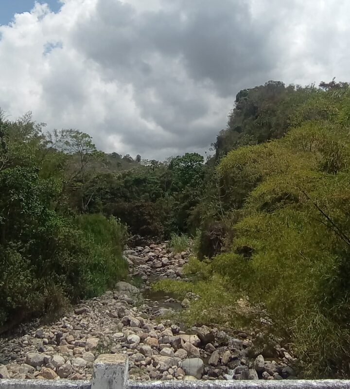 Caminata Ecológica Arbeláez SantaBárbara