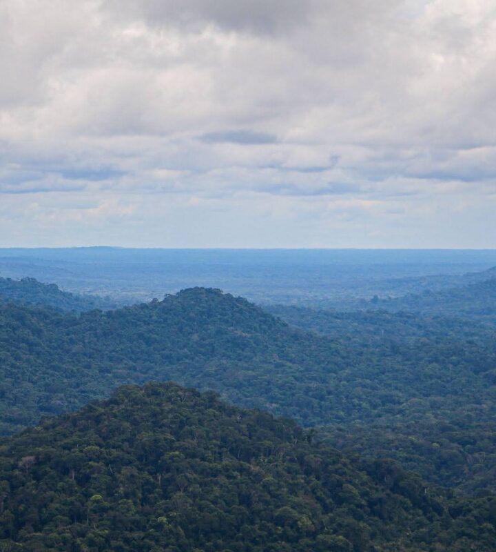 Principal_VentanadelMundo