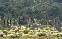 Caminata_Ecológica Paramo_de Rabanal