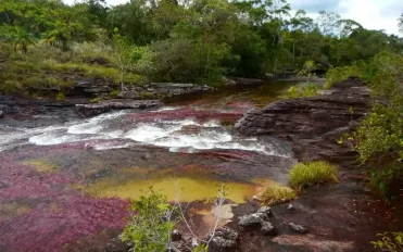 Caño Cristales