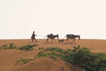 Alta Guajira y Cultura Wayuu