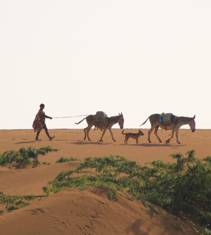 Alta Guajira y Cultura Wayuu
