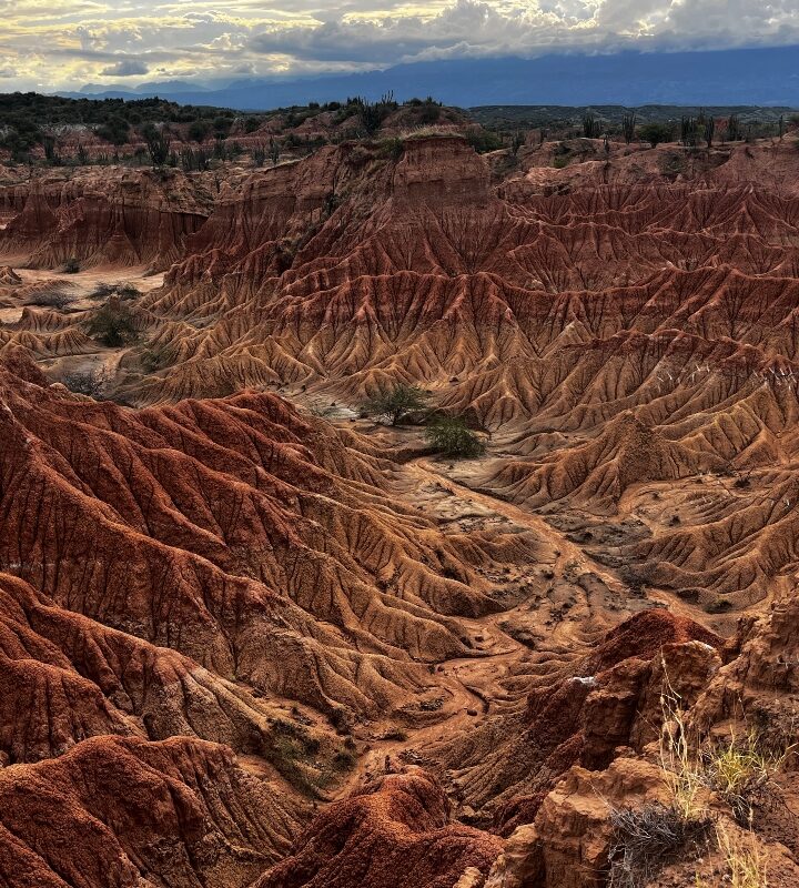 Portada Tatacoa Neiva