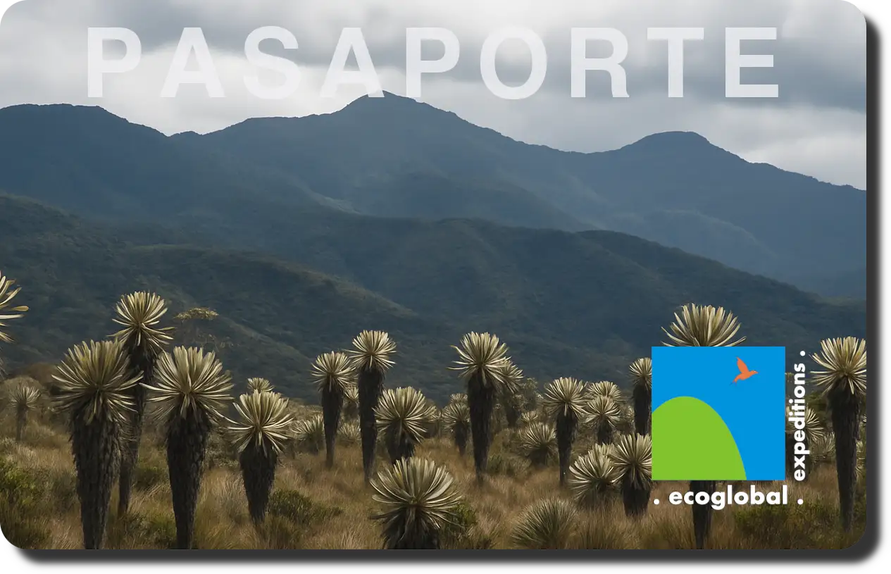 Pasaporte Ecoglobal