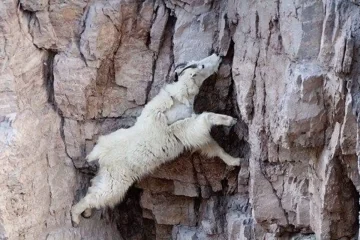 Escalada en roca en Suesca