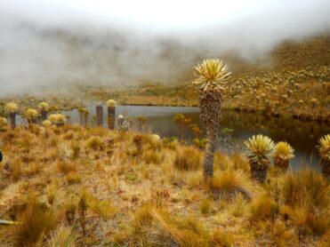 Imagen de cabecera de Registro Nacional de Turismo