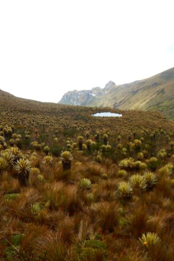 Expedición Paramillo del Quindío