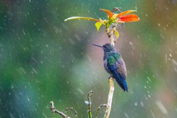 portada 2 fotografia