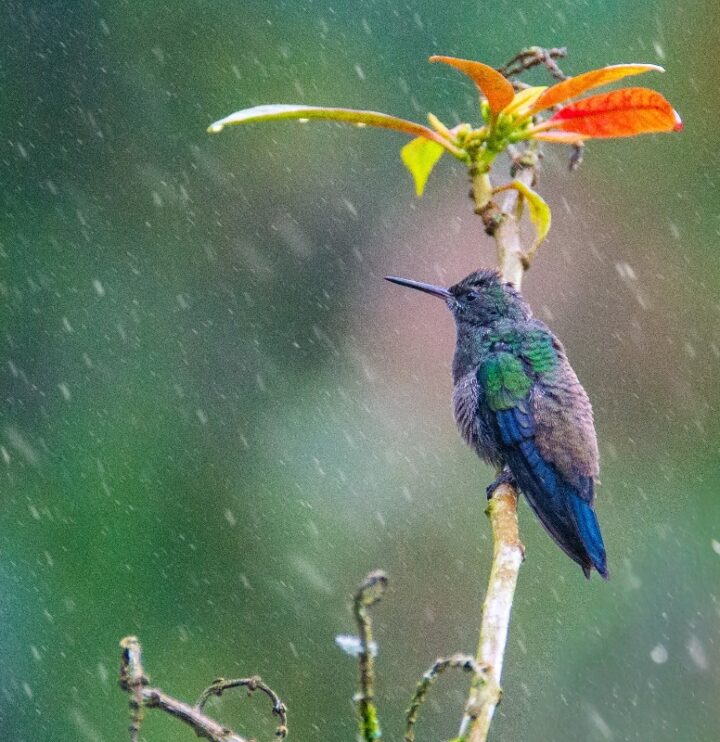 portada 2 fotografia