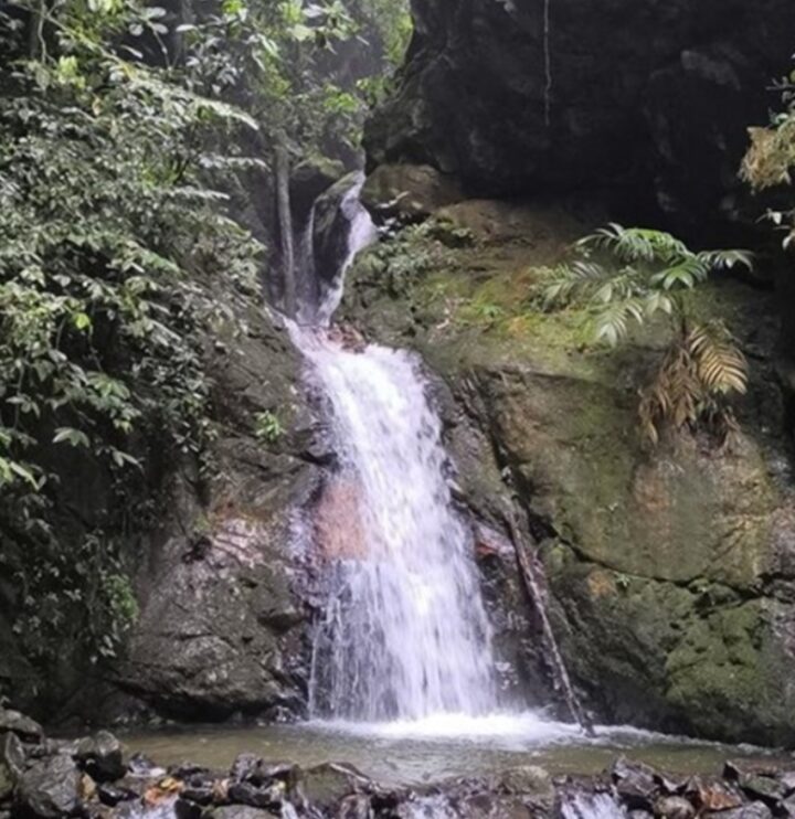 3 cascadas portada