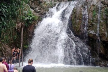 Portada Popalito nueva